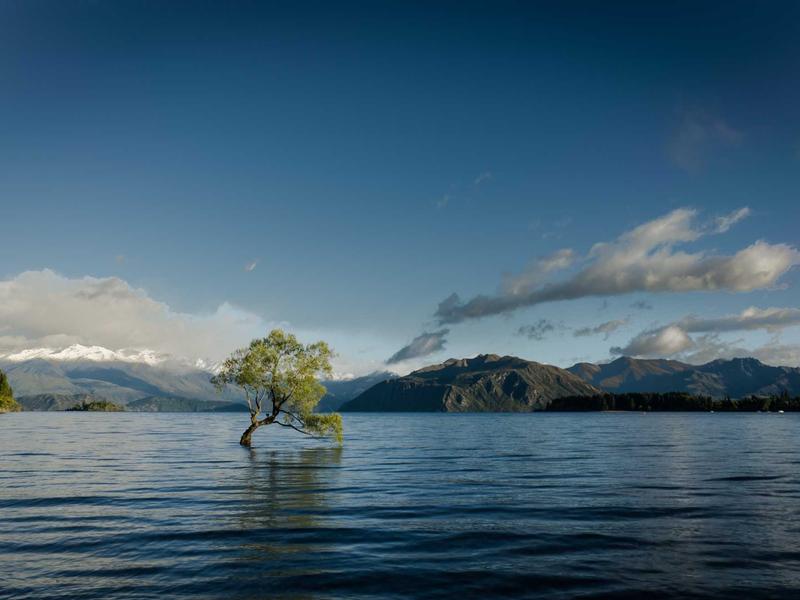虚无主义狂欢<br>qyo4zwyv.cn 上帝已死宣言